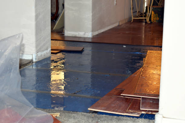 Professional Basement Water Removal technician working in Lakeside, OR